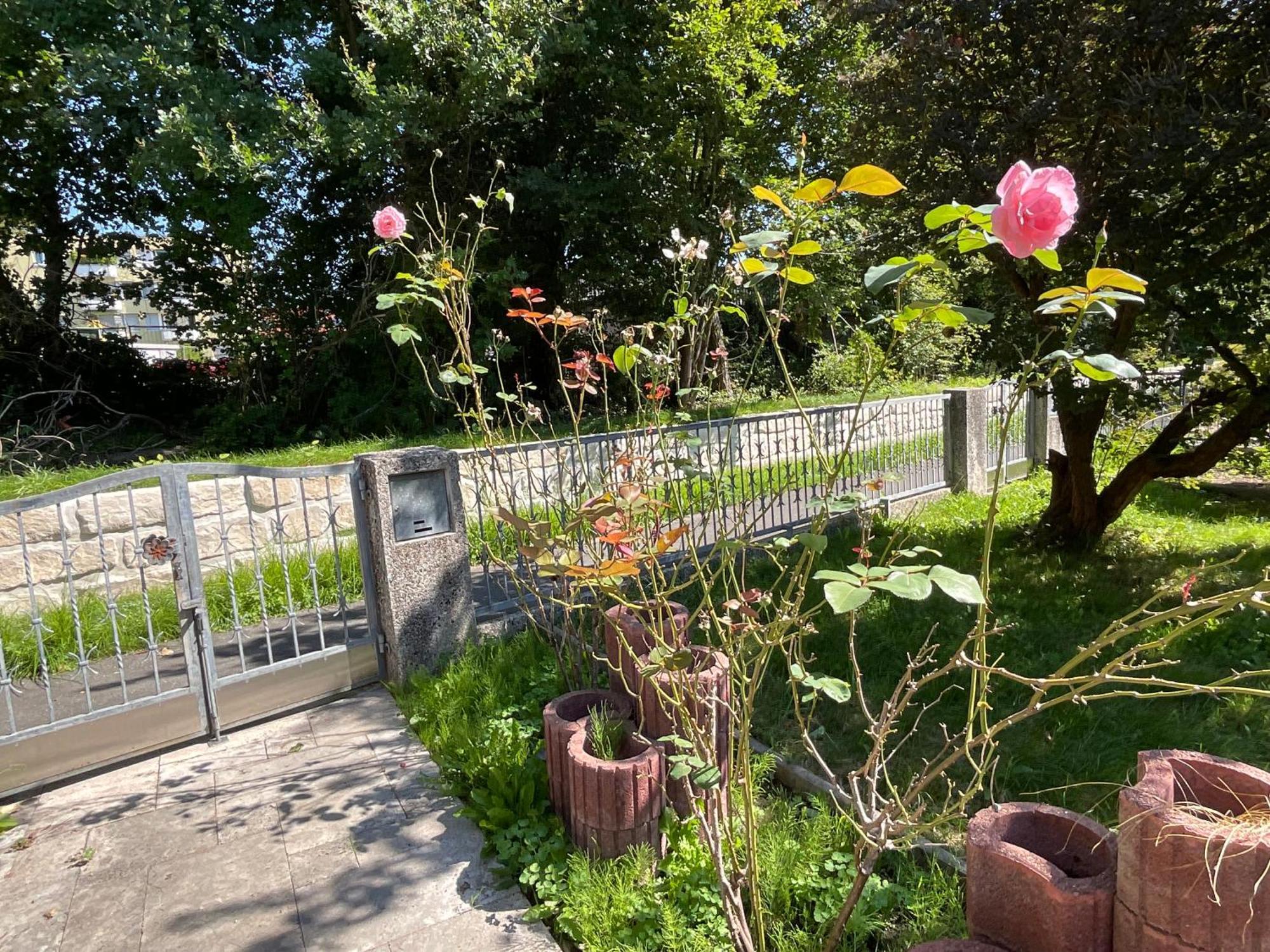 Messe-Apartment, 4 Schlafzimmer, 80 Qm, Garten - 6 Km Zur Messe, Verkehrsguenstig, Ruhig, Parkplaetze Нюрнберг Екстериор снимка